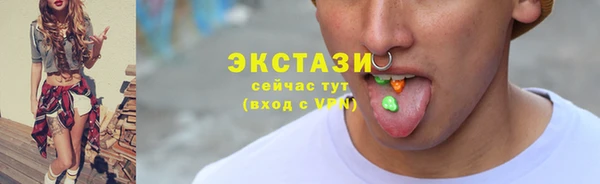 spice Богородицк